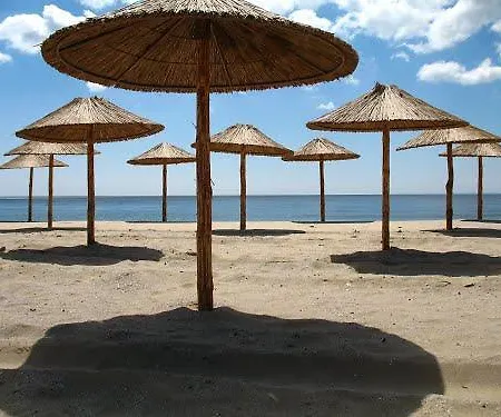 Near The Sea سفيتي فلاس